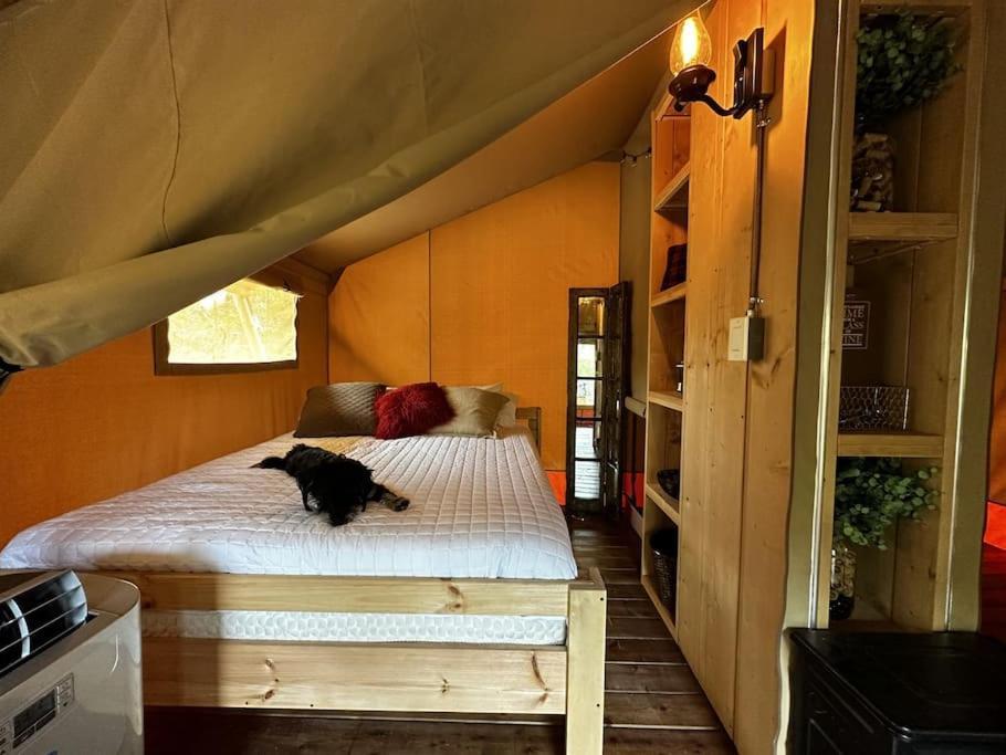 מלון ג'ונסון סיטי 12 Fires Luxury Glamping With Heating #5 מראה חיצוני תמונה